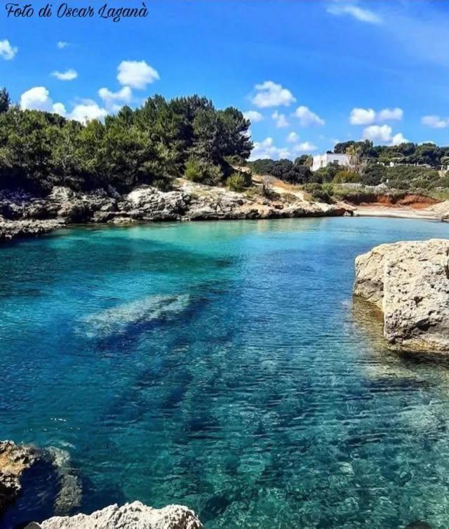 Belvedere Da Madia モノーポリ エクステリア 写真